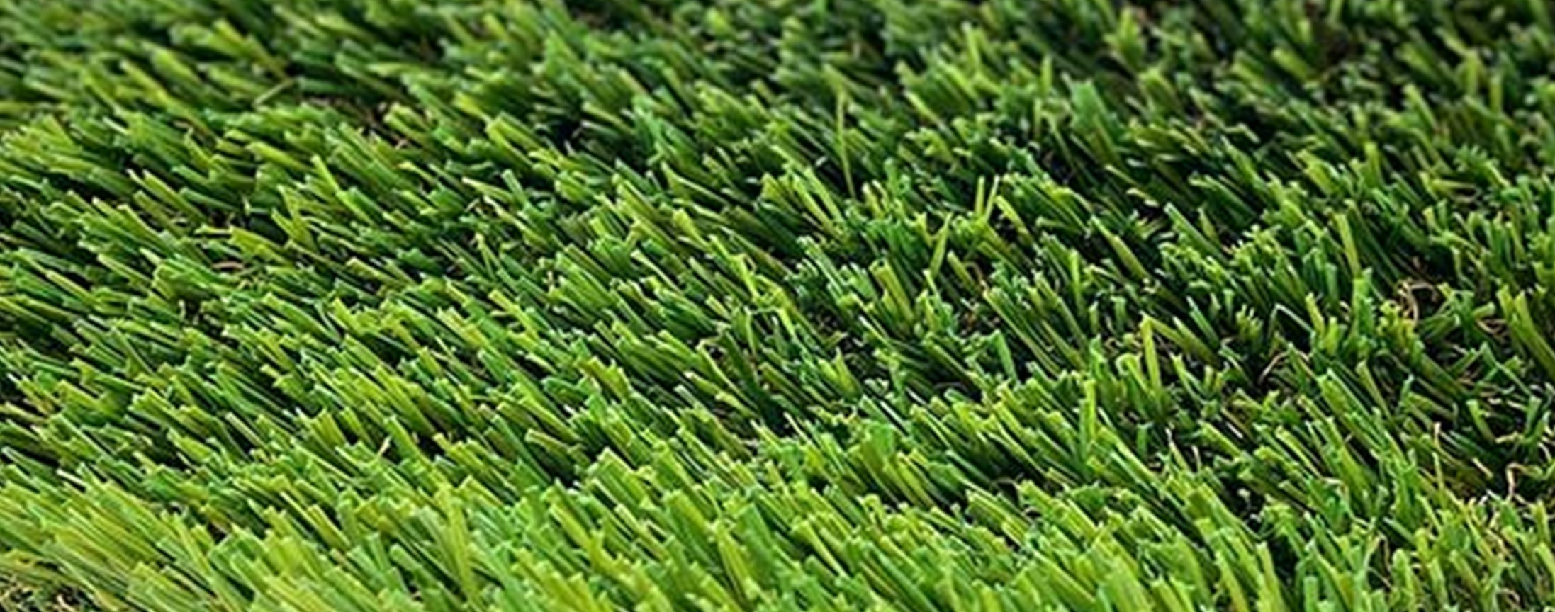 Emerald Ridge Artificial Grass, Clean-R Turf Cleaning Services