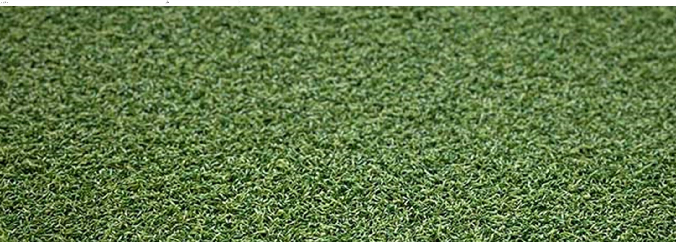 Xtreme Sports/Play Turf, Clean-R Turf Grass Cleaning, Corona